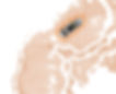 ながせ_edited.jpg