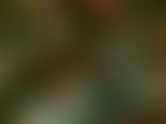 How to Enjoy the Holidays Without Breaking Your Budget