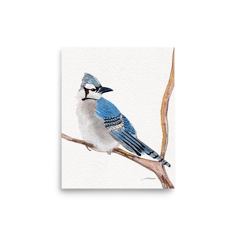 Thumbnail: "Blue Jay" Digital Watercolor Painting - Poster Print