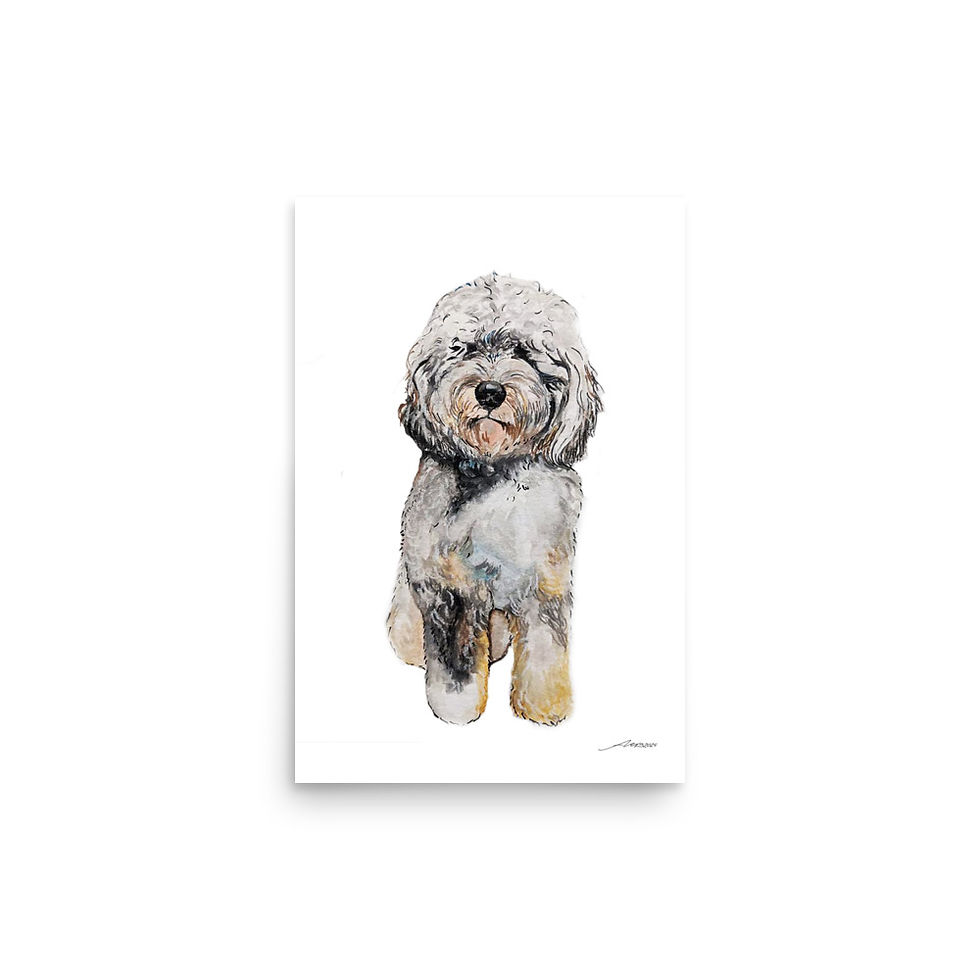 Thumbnail: "Aussiedoodle" - Watercolor Painting - Print Poster