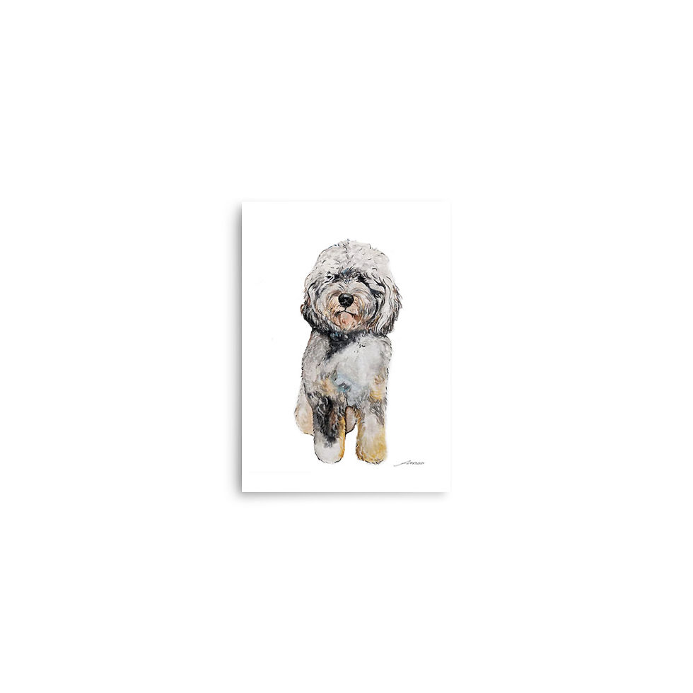 Thumbnail: "Aussiedoodle" - Watercolor Painting - Print Poster