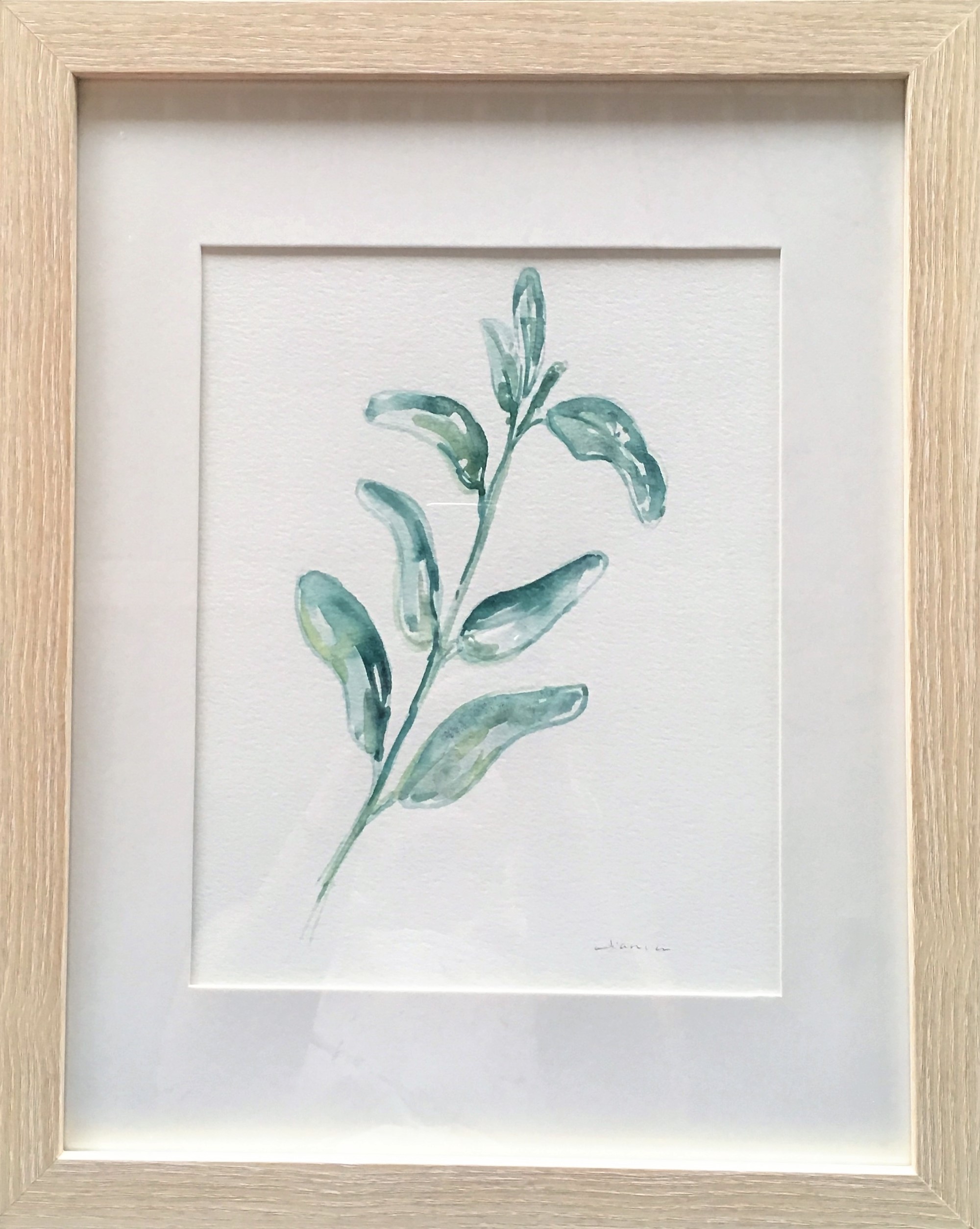 Sage