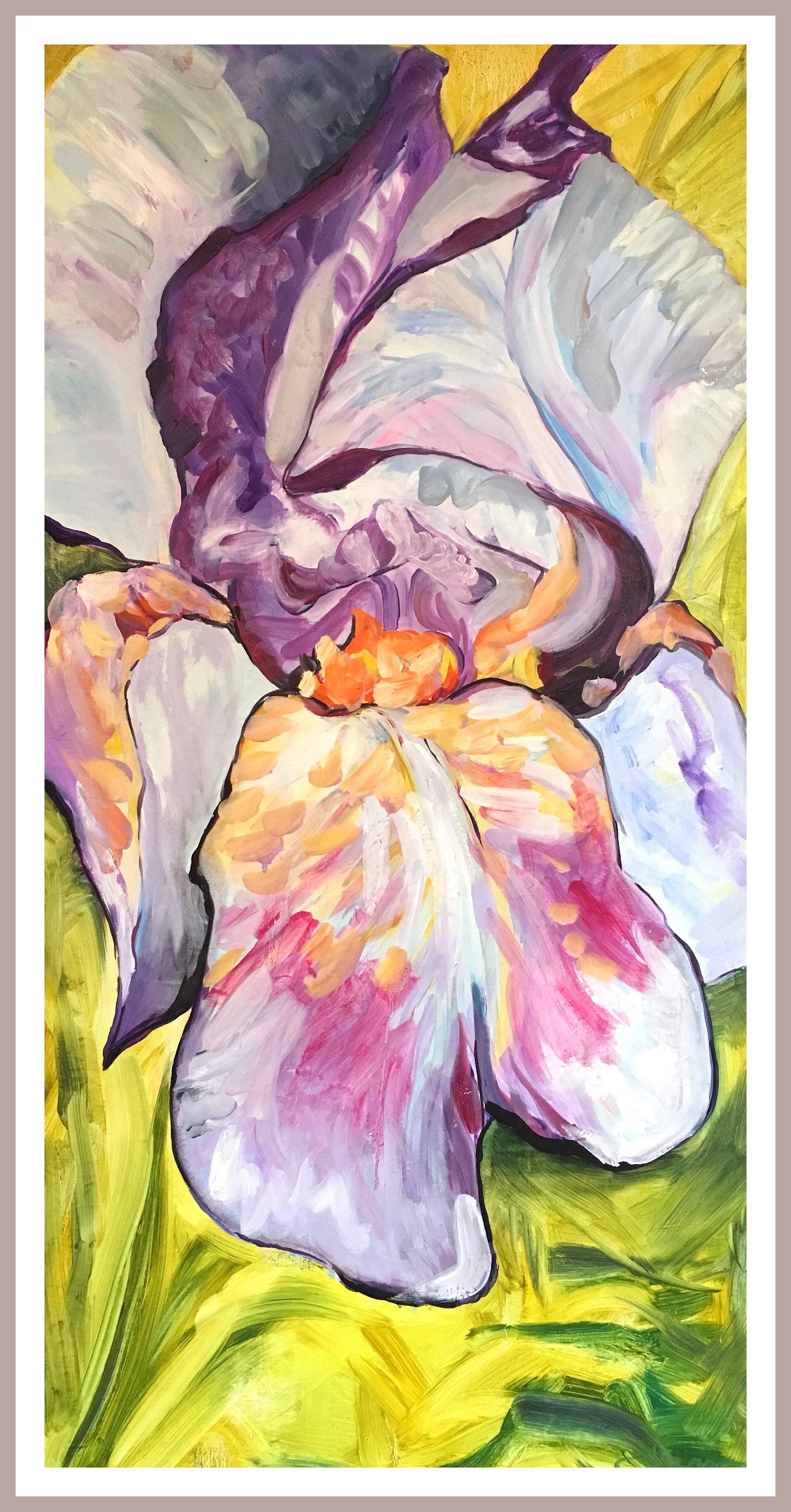 Purple Orange Iris