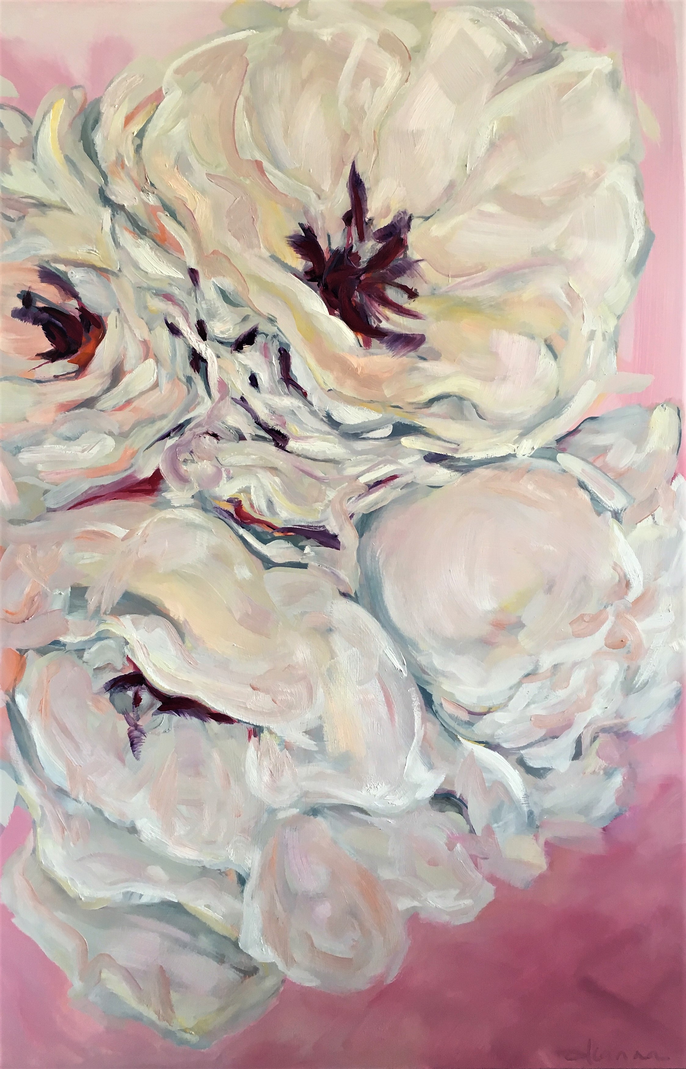 Blooming in Magenta and Ivory