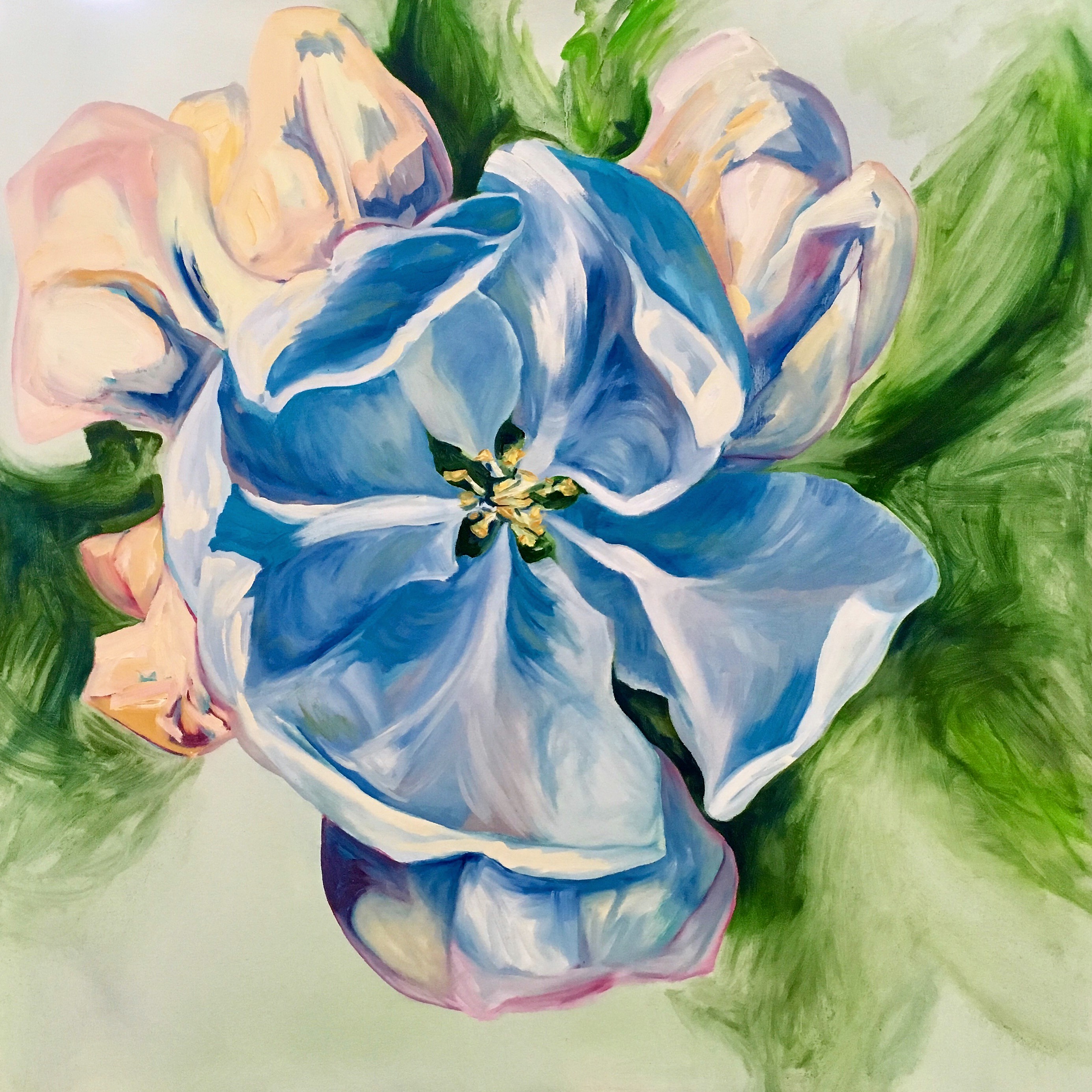 Peach Blue Blossom