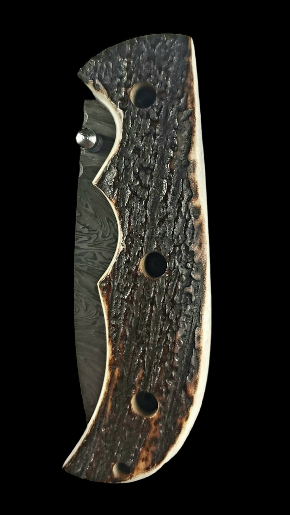 Thumbnail: TWO FEATHER ANTLER