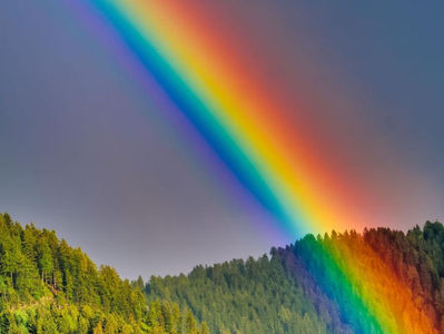 Hirtenbrief der Nordischen Bischofskonferenz