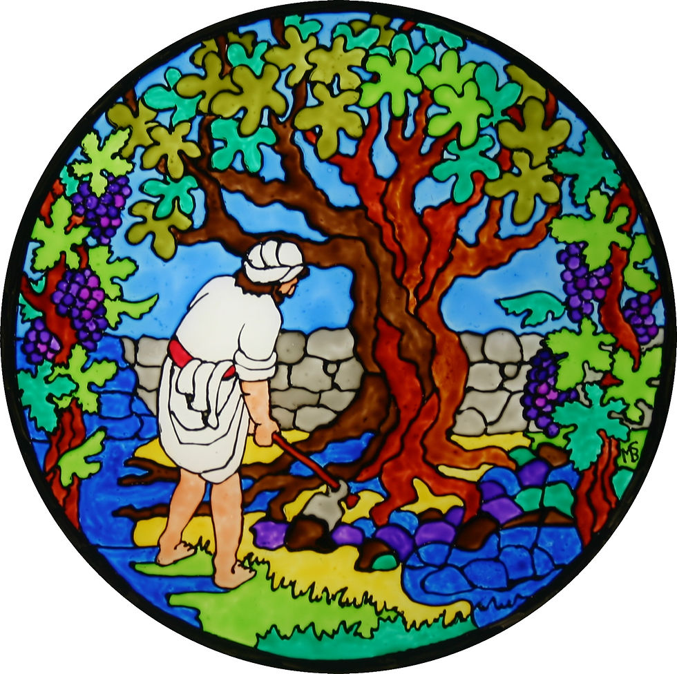 rondje11 gelijkenis van de vijgenboom