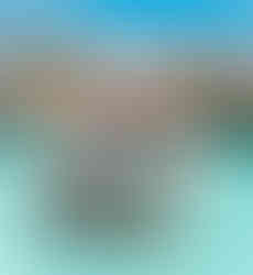 Over water bungalow con piscina privata a Bora Bora