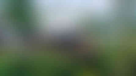 enda di lusso elevata su palafitte con piscina termale privata, circondata dalla foresta intorno al vulcano Arenal.