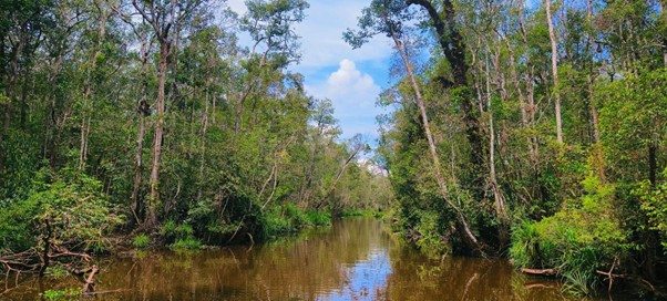 NAVIGAZIONE SUL FIUME, KALIMANTAN