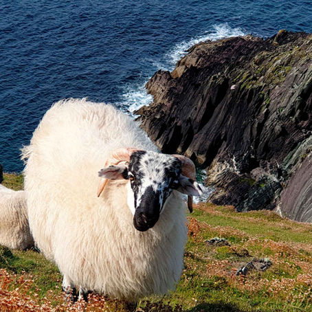 TERRA DI CELTI, MUSICA, GNOMI E FATE: Tattoo Travel ti porta in Irlanda, l'isola di smeraldo