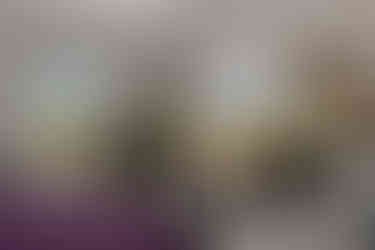 Interno di una tenda dome con vista sulla campagna