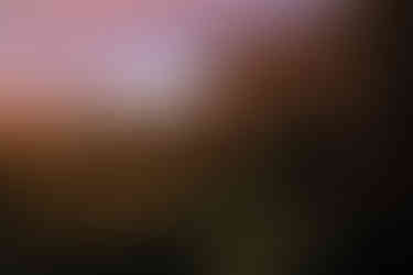 Resort romantico in Sri Lanka per viaggio di nozze, immerso nella natura tropicale