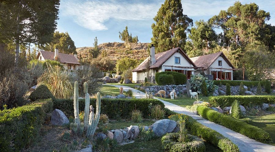 Abitazioni di un hotel in stile piccole case immerse in verdi giardini con animali liberi