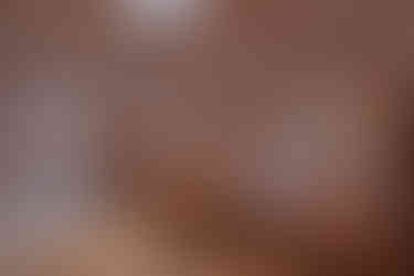 Interno di una elegante yurta con struttura e arredi in legno intarsiato con tappeti tradizionali, fuori dalla porta principale vista su gruppo di cammelli