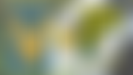 Tigres vs León semifinales Apertura 2021 Liga MX.