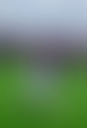 MY VIEW IN THE MTN FAZ SUPER LEAGUE WEEK 13 THIS COMING WEEKEND
BWEZANI GOT FOUR RESULTS CORRECT LAS