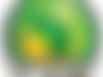 CAF AFCON 2017 QUALIFIERS