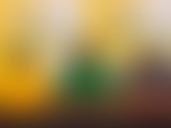 LWANDAMINA DIFFERENT FROM JANZA?