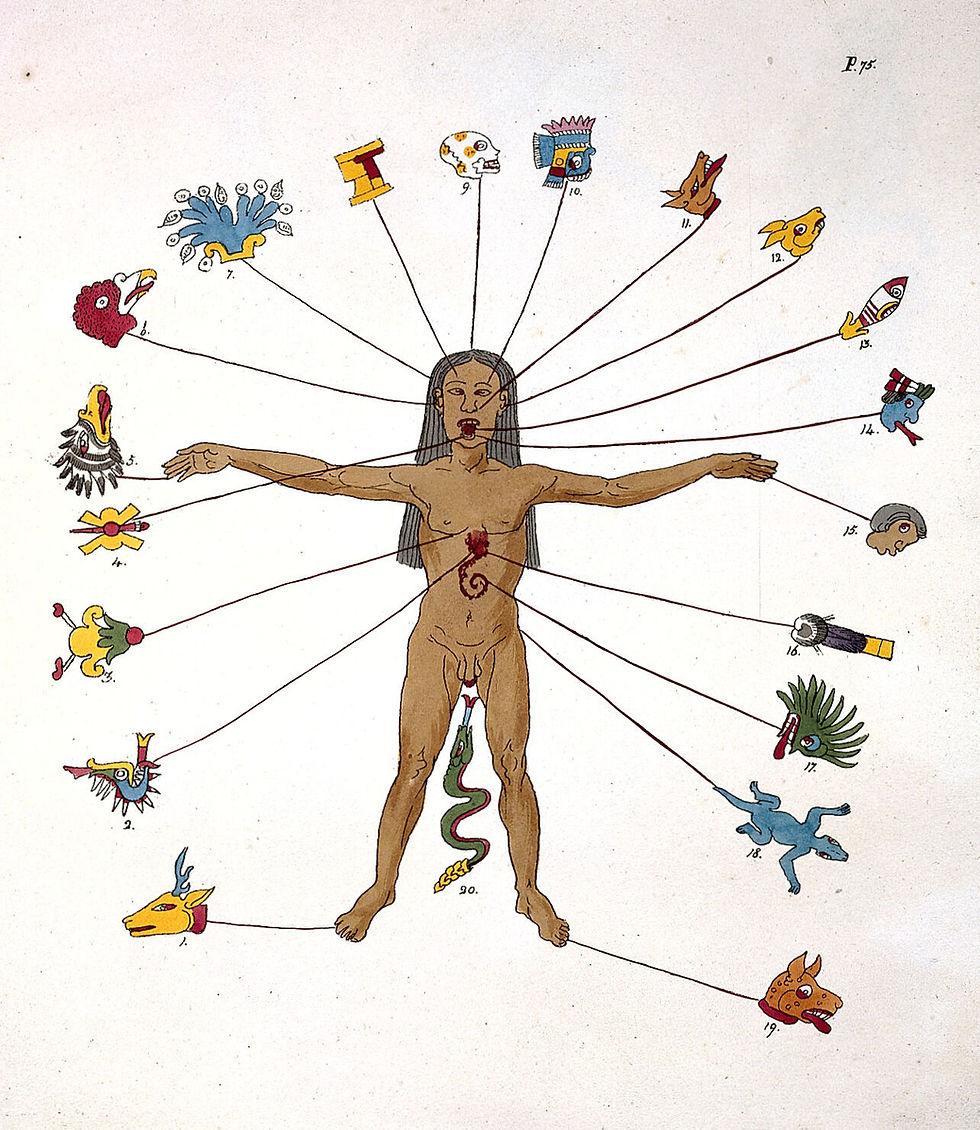 body keeps the score psychotherapy
