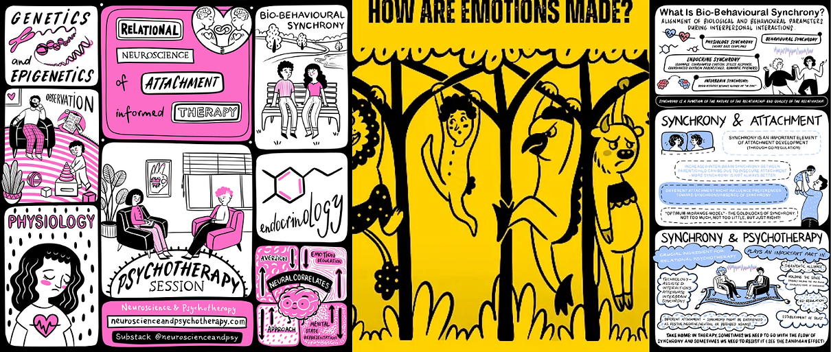 Cover pic NP Hub.png