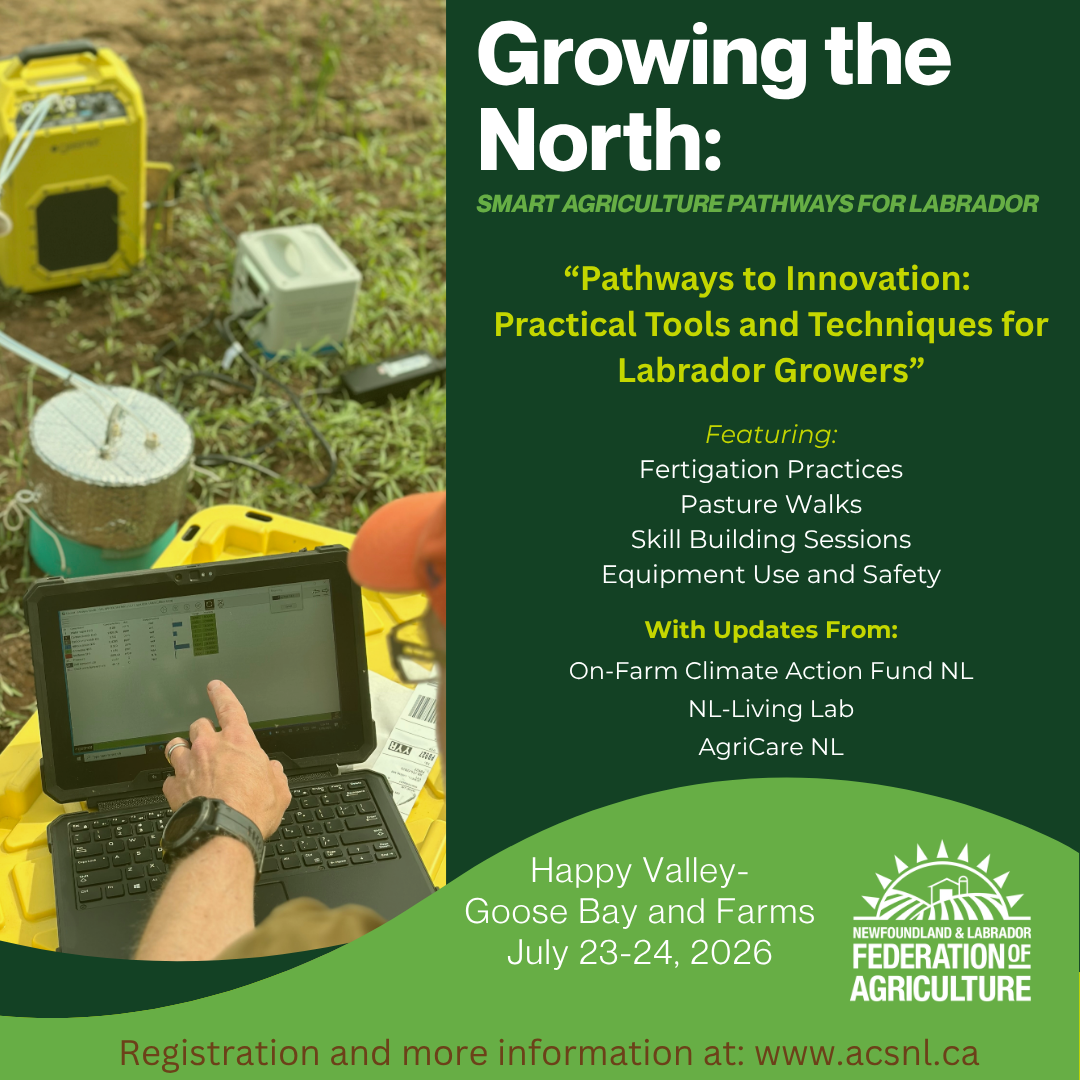 Growing the North: Pathways to Innovation