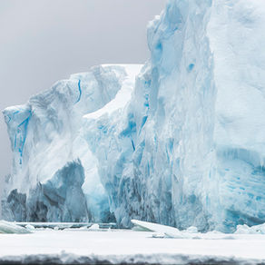 The White Continent:  Antarctica:  Punta Arenas-Cape Horn-Stonington Island-Danco Island-Deception Island-Yankee Harbour-Punta Arenas Stop 61