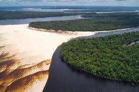 amazonia.jpg