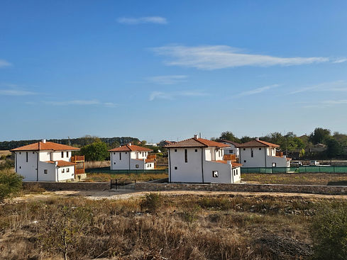 Houses in Tsarichino