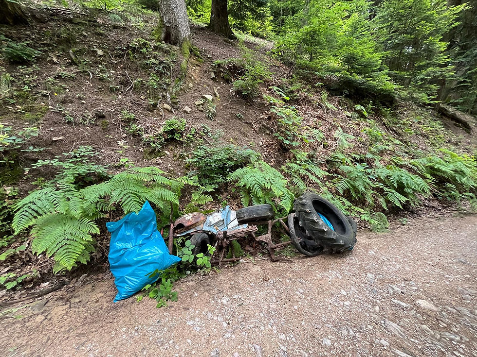 Rückblick Ortsputzede 2024