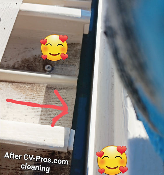 Gutter clean