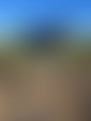 GAAP is Excited to Announce the Close of an Undisclosed Investment Round into BioScout