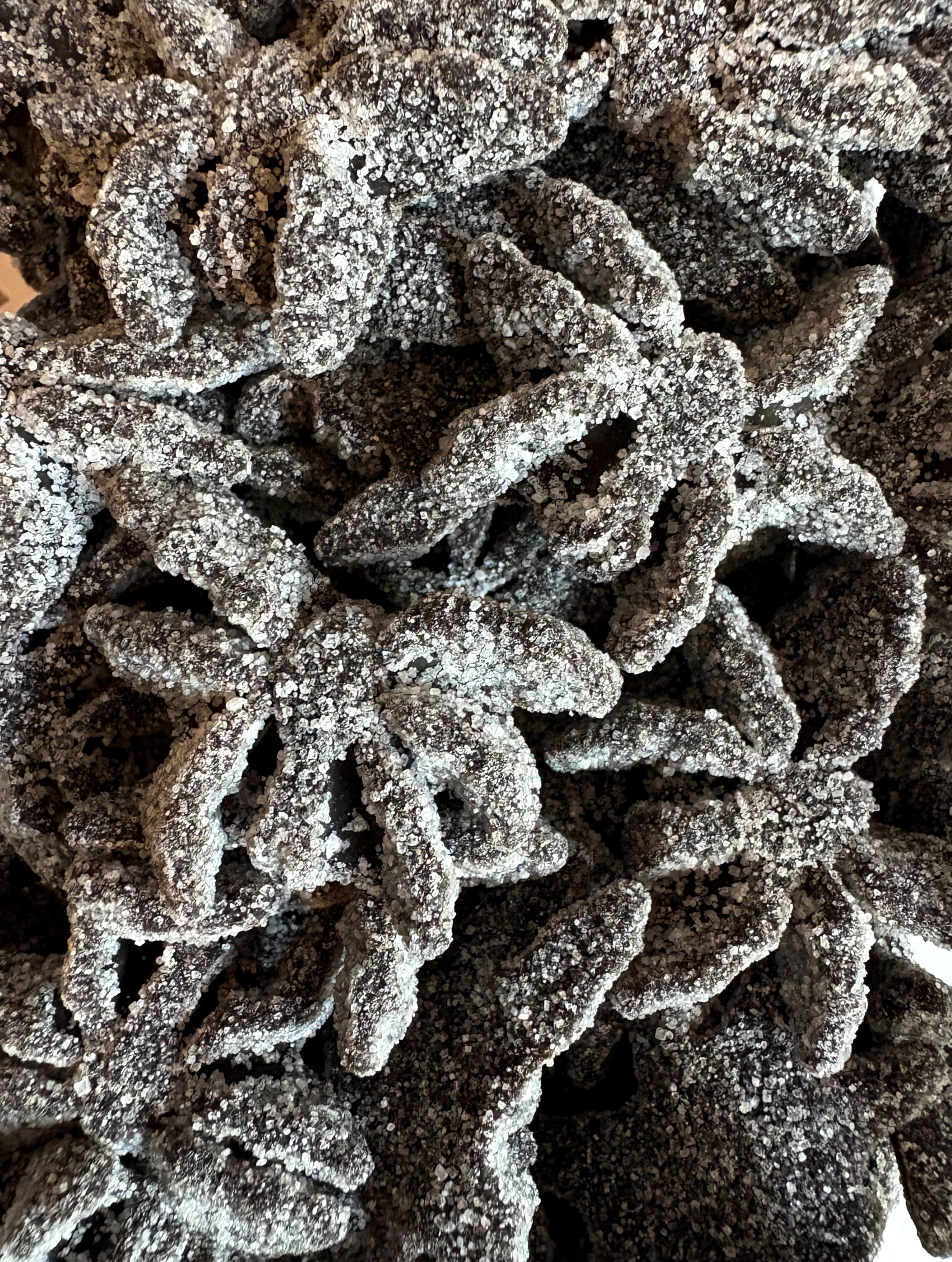 Araignées sucrées
