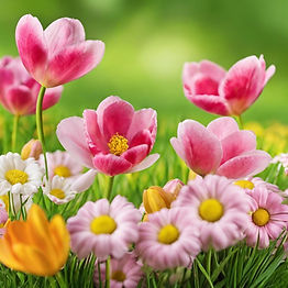 spring in Frankfort, Kentucky