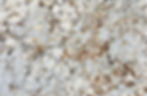 STANELLO CRYSTAL
