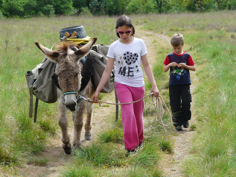 âne ardeche rando famille activité