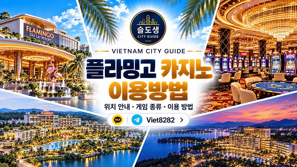 플라밍고 카지노 이용방법 - 다이라이 위치·입장 준비·왕복 차량 안내