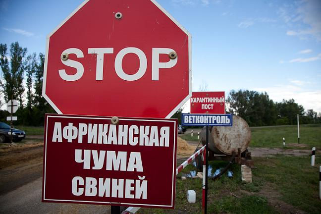 В Волгоградской области выявили нарушения при ликвидации АЧС