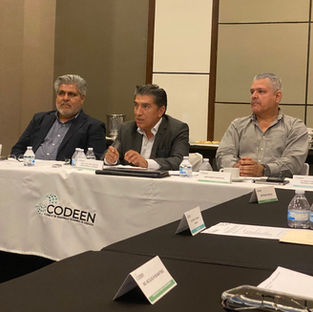 Desvinculadas las carreras profesionales y vocaciones del Estado: Covee