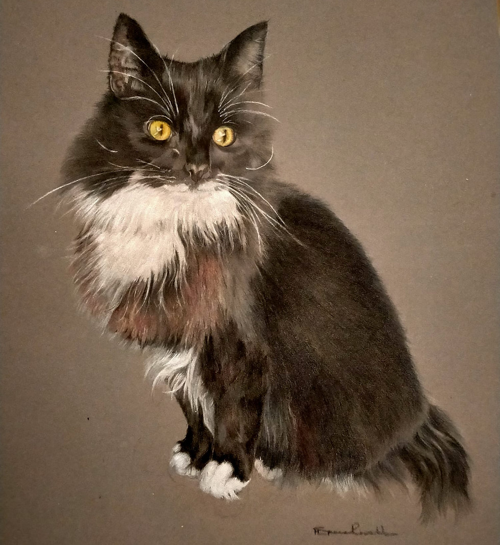 Portrait pencil drawing of a cat