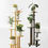 Thumbnail: 3-Tier Bamboo Plant Stand