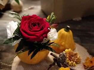 IMG_20200924_162142_Bokeh.jpg