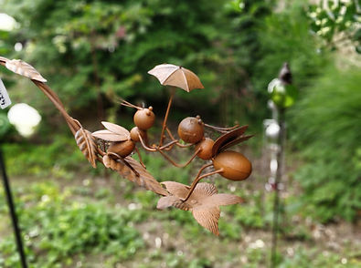 IMG_20200626_184205_Bokeh.jpg