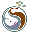 Sense Outside Final Logo Design 31-1-25.png