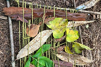 b7f60a66-fd3d-455c-9620-046fc35570b6.jpg