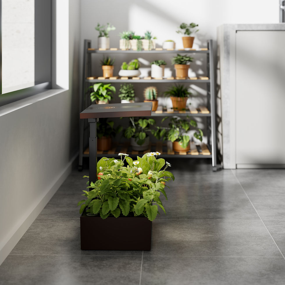 Foto van HomeGreens systeem binnen