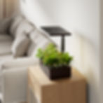 HomeGreens garden system in black in the living room