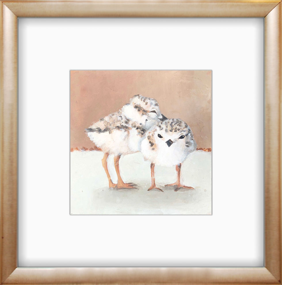 Thumbnail: PIPING PLOVER #2