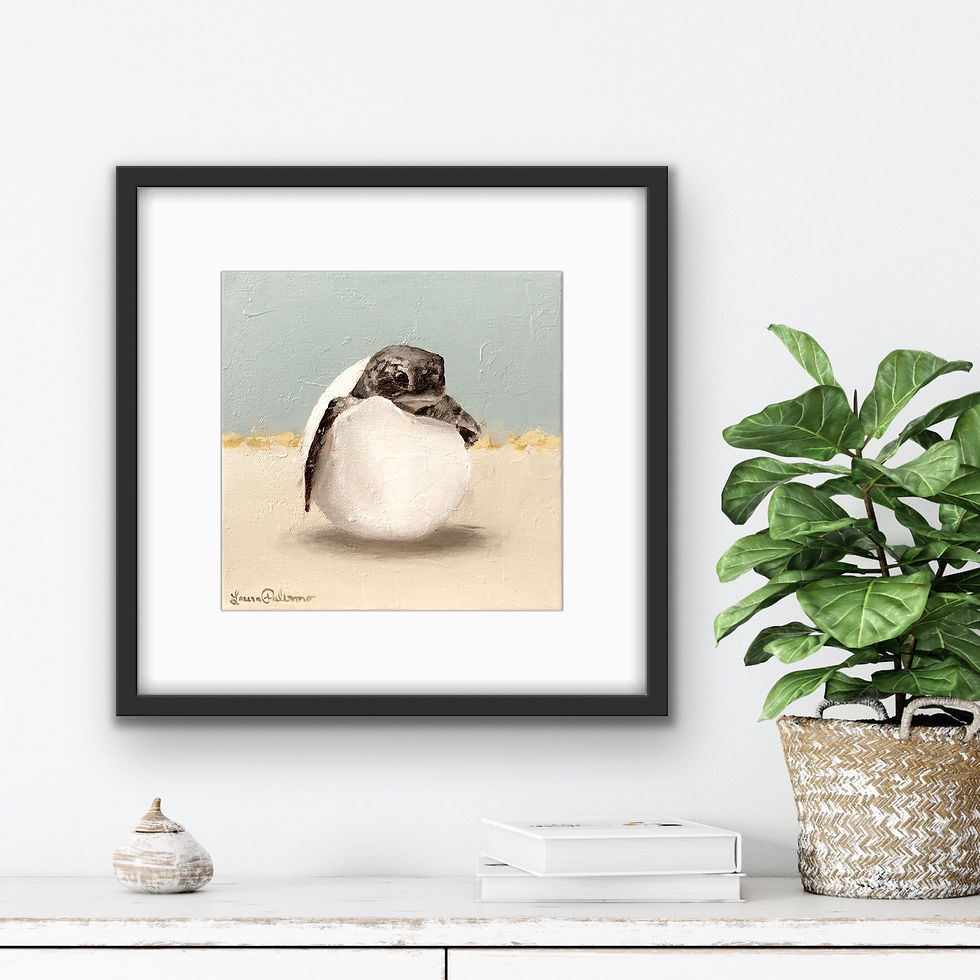 Thumbnail: TURTLE HATCHLING #1